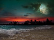 Moon, ocean and palm trees