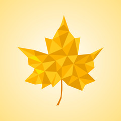 Wall Mural - maple leaf in triangular style. vector illustration. eps 10
