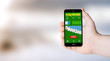 © MclittleStock - mobile soliaire app on user´s hand