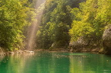 Quiet Mountain River Streams In A Overgrown Canyon, Covered With Shrubs. Water Have Green Color, There Is Some Haze And One Diagonal Ray Of Sun Light.
