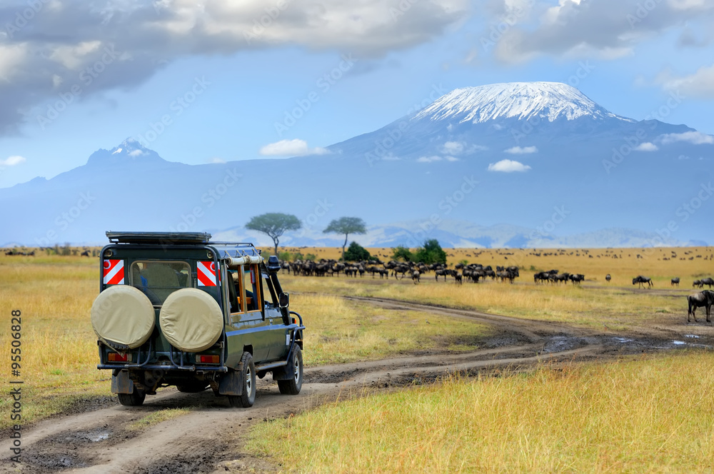 Safari game drive with the wildebeest - obrazy, fototapety, plakaty 