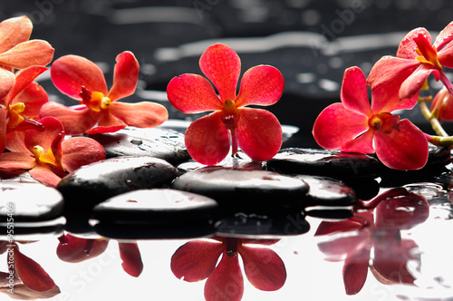 Naklejka na szybę Beautiful red orchid with therapy stones 