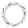 Watercolor lavender frame