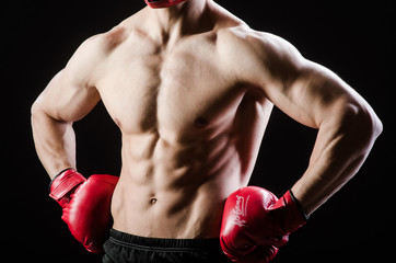 Wall Mural - Muscular man in boxing concept