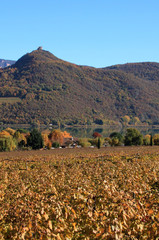 Wall Mural - Autunno a Caldaro, Alto Adige Sud Tirol, sulla strada del Vino, tra Bolzano e Termeno