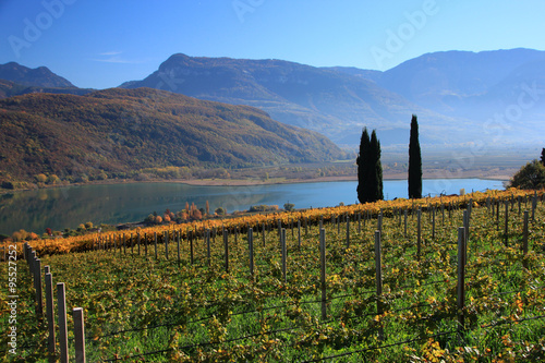 Foto Autunno a Caldaro, Alto Adige Sud Tirol, sulla strada del Vino, tra Bolzano e Te