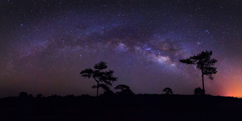 Wall Mural - panorama milky way at phu hin rong kla national park,phitsanulok