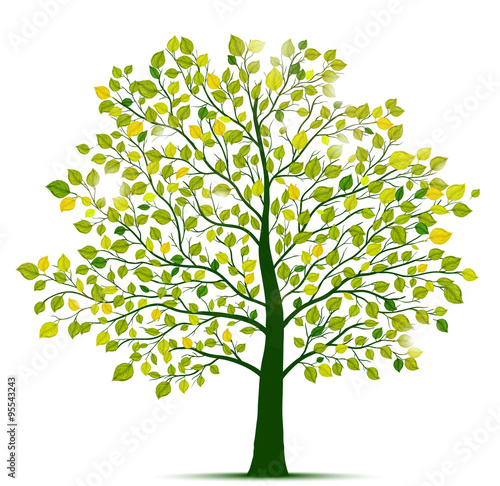Green Tree Isolated Buy This Stock Vector And Explore Similar Vectors At Adobe Stock Adobe Stock Green Tree Isolated Buy This Stock Vector And Explore Similar Vectors At Adobe Stock Adobe Stock