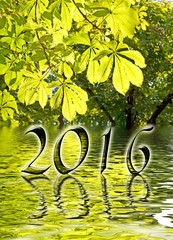 Wall Mural - 2016, Green leaves and water reflections greeting card