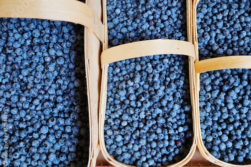Fotografie, Obraz Wild blueberries (bleuets) at a Canadian farmers market