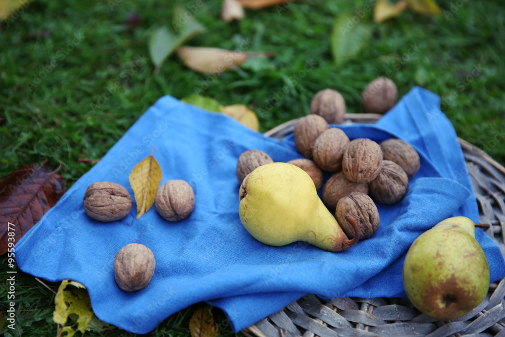 Fruits and walnuts on wicker mat, on green grass background