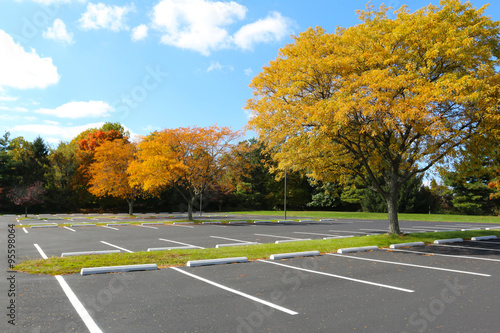 empty parking lot trees in autumn Slika na platnu