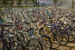 Bikes at UC Davis campus
