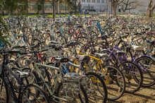 Bikes At UC Davis Campus