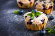 Blueberry muffins with powdered sugar and fresh berry