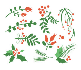 Sticker - Red Berries, Branches Fir and Leaves. Vector Illustration Set