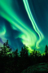 northern lights (aurora borealis) in the sky