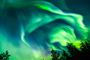 Sticker - Northern lights (Aurora borealis) in the sky