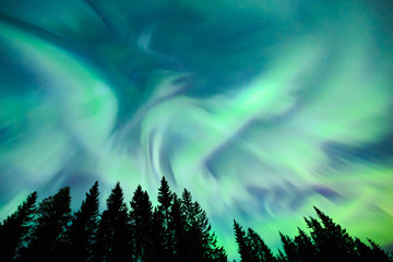 Wall Mural - Northern lights (Aurora borealis) in the sky