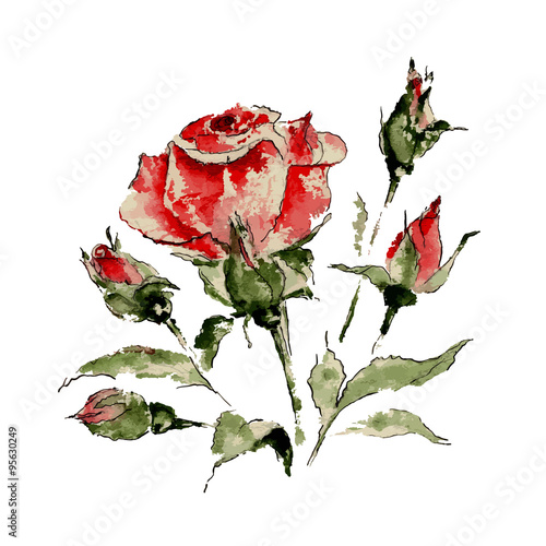 Fototapeta na wymiar Illustration of red rose