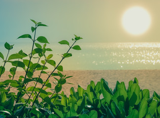 Wall Mural - Green bush with sand and sea behind