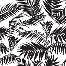 Black And White Palm Leaves Pattern, Seamless Trendy Tropical Fabric Design