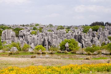 Shilin Stone Forest - Kunming - China