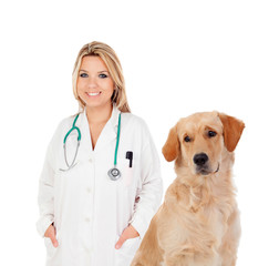 Wall Mural - Blonde veterinary with a nice Labrador Retriever