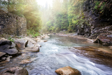Wall Mural - flow mountain river in rocky shores