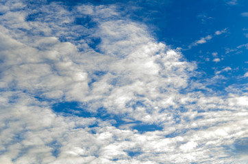 Wall Mural - sky and cloud