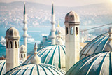 Fototapeta  - The beautiful Süleymaniye mosque in Istanbul, Turkey