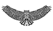 Eagle Owl Bird. Animals. Hand Drawn Doodle. Ethnic Patterned Vector Illustration