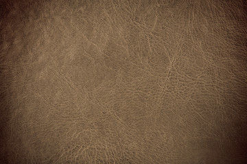 Wall Mural - grunge scratched leather to use as background