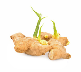 Poster - Ginger plant on white background