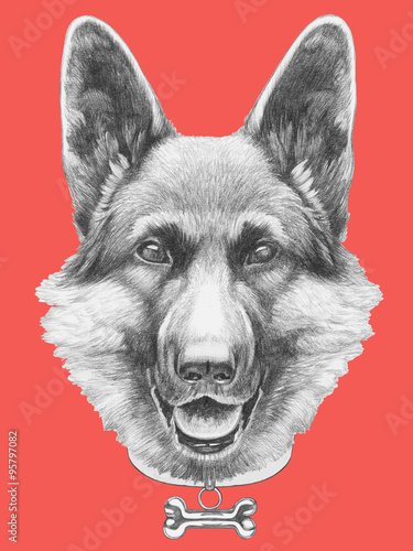 Portrait of German Shepherd with sunglasses. Hand drawn illustration