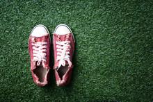 A Red Shoes On The Lawn