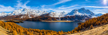 Stunning View Of Sils Lake In Golden Autumn