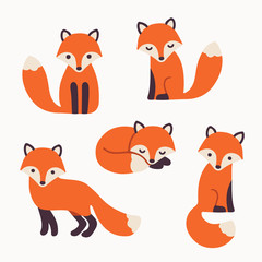 Wall Mural - cute fox collection