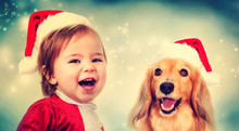 Happy Toddler Girl And Dachshund Dog
