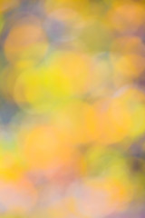 Poster - blurred abstract background bokeh  summer autumn