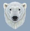 Illustrated Portrait of Polar Bear
