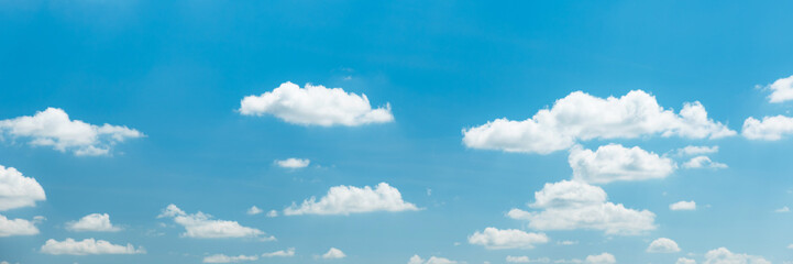 Wall Mural - bright sky and white cloud panorama