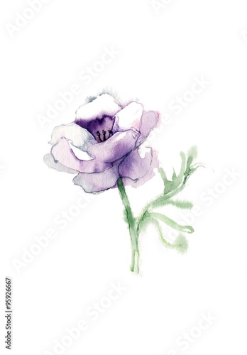 アネモネ 紫色 Stock イラスト Adobe Stock アネモネ 紫色 Stock イラスト Adobe Stock