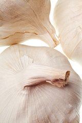 Wall Mural - garlic isolated