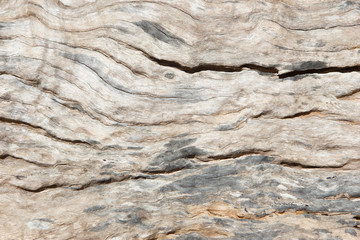 Wall Mural - Texture of Wood background closeup.

