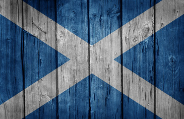 Wall Mural - Scotland flag