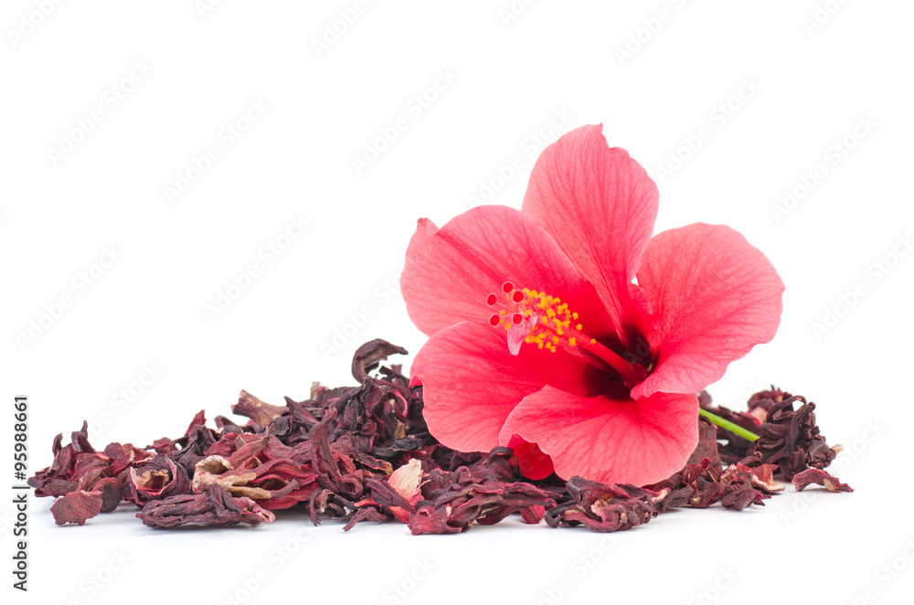 Fresh and dried hibiscus flowers - obrazy, fototapety, plakaty 