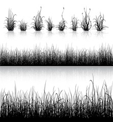 Grass silhouette isolated on white