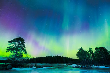 Wall Mural - Northern lights (Aurora borealis) in the sky