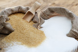 Fototapeta  - Various types of sugar, brown sugar and white
